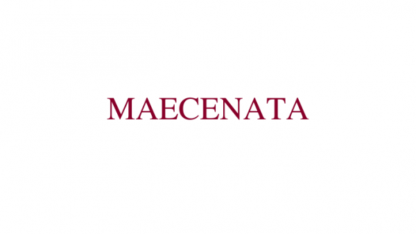 Presseinformation: Neue Direktorin des Maecenata Instituts
